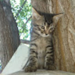 Meet your Posher, Joseph